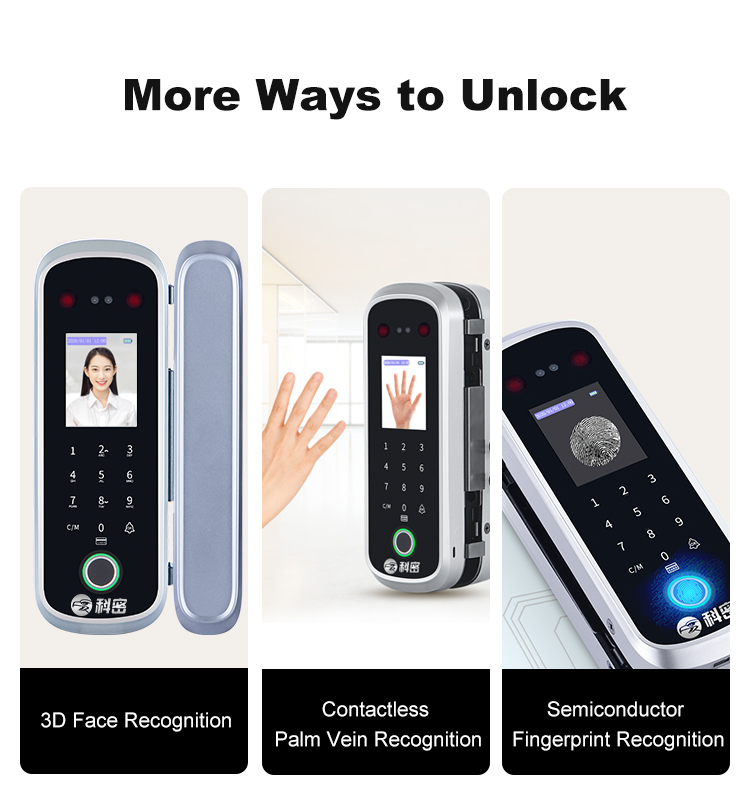 Office Access Control and Attendance Fingerprint Palmprint Face Recognition Smart Card Glass Door Lock